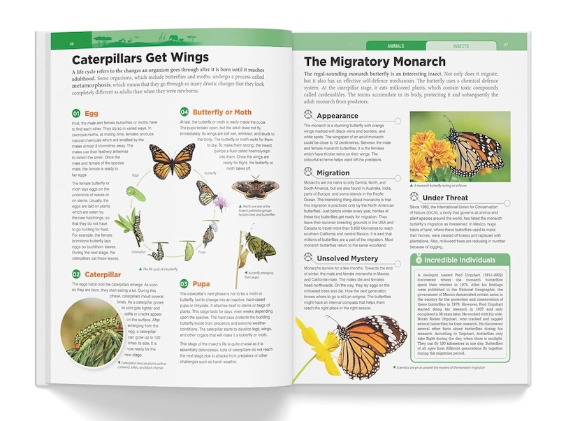 Sample content 2_Knowledge Encyclopedia - Animals