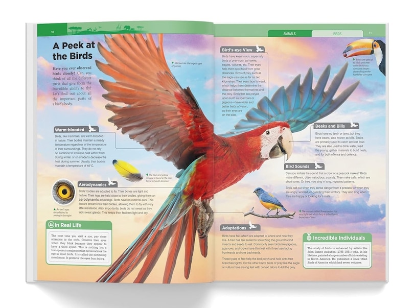 Sample content 3_Knowledge Encyclopedia - Animals