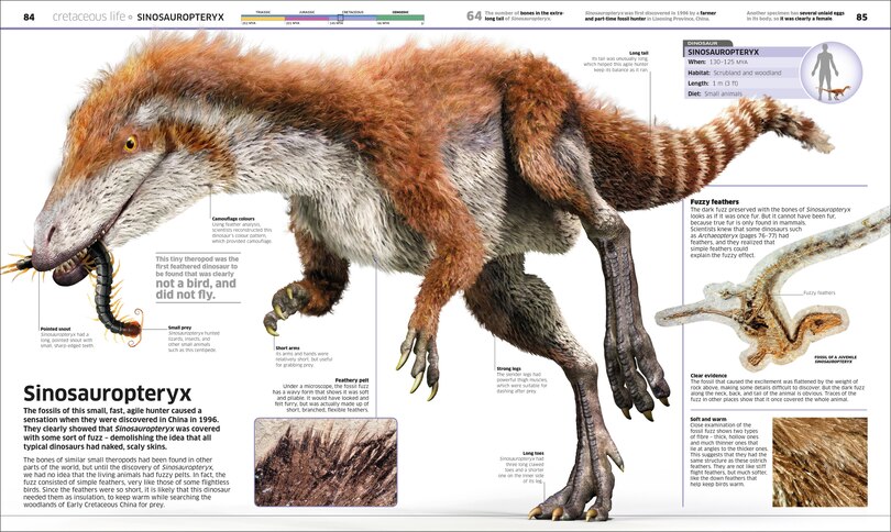 Sample content 2_Knowledge Encyclopedia Dinosaur!