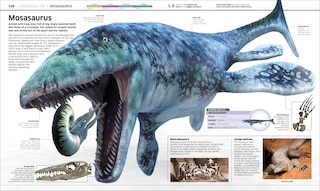 Sample content 4_Knowledge Encyclopedia Dinosaur!