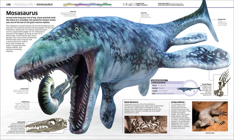 Sample content 4_Knowledge Encyclopedia Dinosaur!