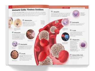 Sample content 2_Knowledge Encyclopedia Human Body