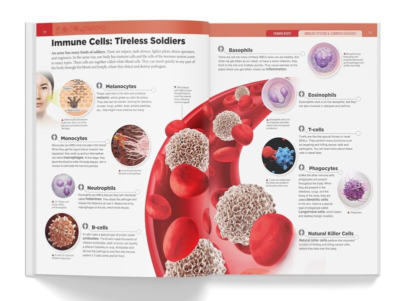 Sample content 2_Knowledge Encyclopedia Human Body