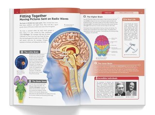 Sample content 3_Knowledge Encyclopedia Human Body