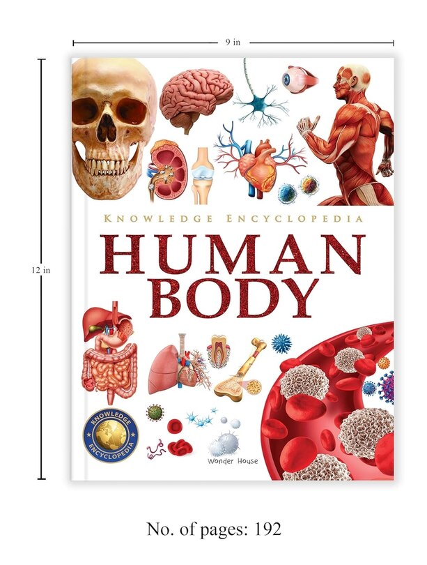 Sample content 4_Knowledge Encyclopedia Human Body
