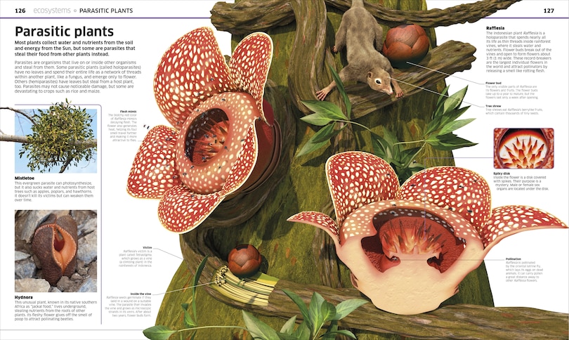 Aperçu du contenu 4_Knowledge Encyclopedia Plants and Fungi!