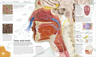 Sample content 4_Knowledge Encyclopedia