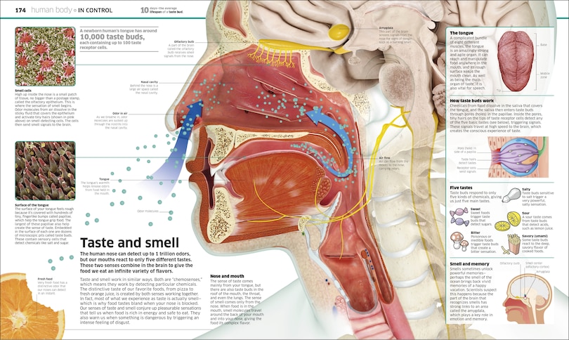 Sample content 4_Knowledge Encyclopedia