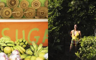 Sample content_Kwéyòl / Creole