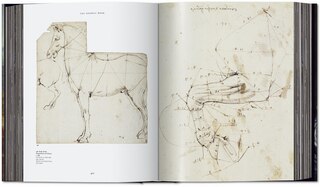 Aper&ccedil;u du contenu_L&eacute;onard de Vinci. Tout l'&oelig;uvre peint et graphique