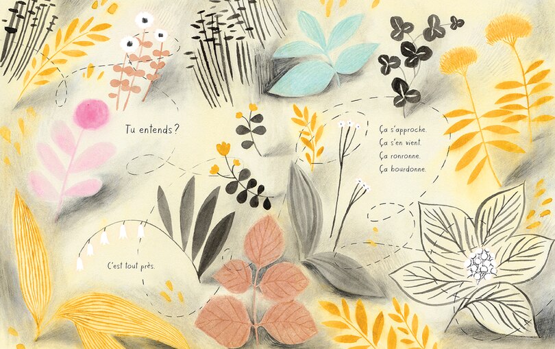 Aper&ccedil;u du contenu_L' abeille &agrave; miel