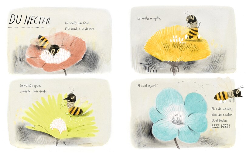 Aper&ccedil;u du contenu 4_L' abeille &agrave; miel