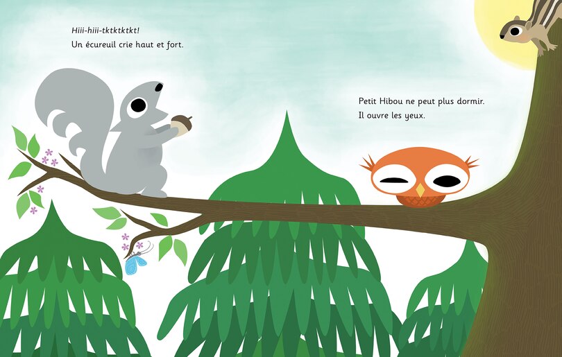 Aper&ccedil;u du contenu_La belle journ&eacute;e de Petit Hibou