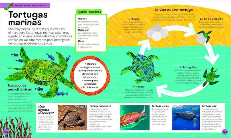 Aperçu du contenu 4_La oruga muy hambrienta Mi primera enciclopedia de animales (The Very Hungry Caterpillar's Very First Animal Encyclopedia)