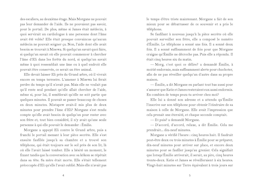 Aper&ccedil;u du contenu_La saga Misewa : N&deg; 3 - L&rsquo;enfant de pierre