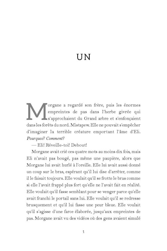 Aper&ccedil;u du contenu 3_La saga Misewa : N&deg; 3 - L&rsquo;enfant de pierre