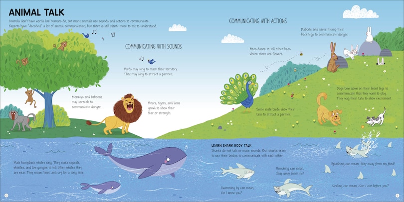 Sample content_Language Around the World