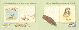 Sample content 2_Las plumas