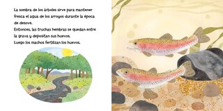 Sample content 3_Las truchas est&aacute;n hechas de &aacute;rboles (Spanish Edition)