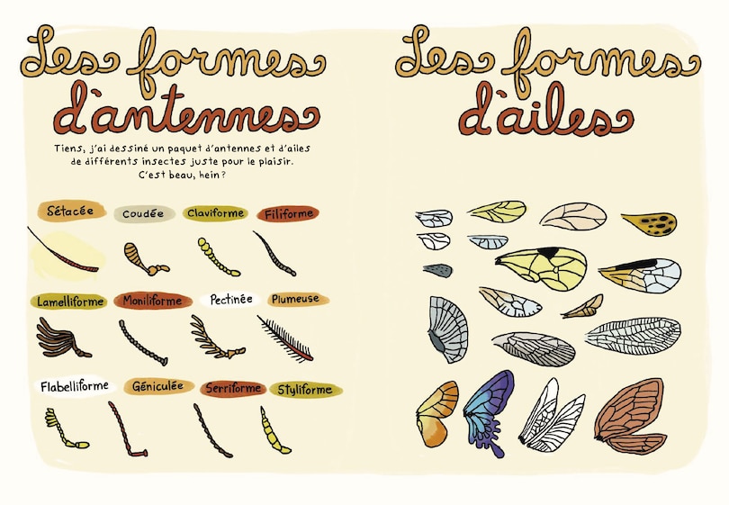 Aper&ccedil;u du contenu 4_Le fan club des petites b&ecirc;tes