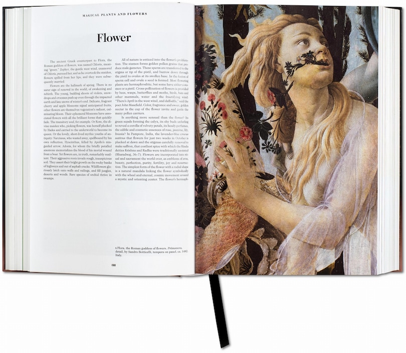 Aperçu du contenu 2_Le Livre des Symboles. Réflexions sur des images archétypales