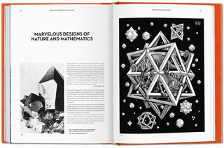 Sample content_Le Miroir magique de M.C. Escher