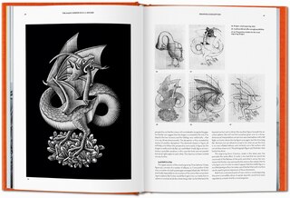 Sample content 5_Le Miroir magique de M.C. Escher