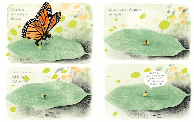 Aper&ccedil;u du contenu_Le papillon monarque