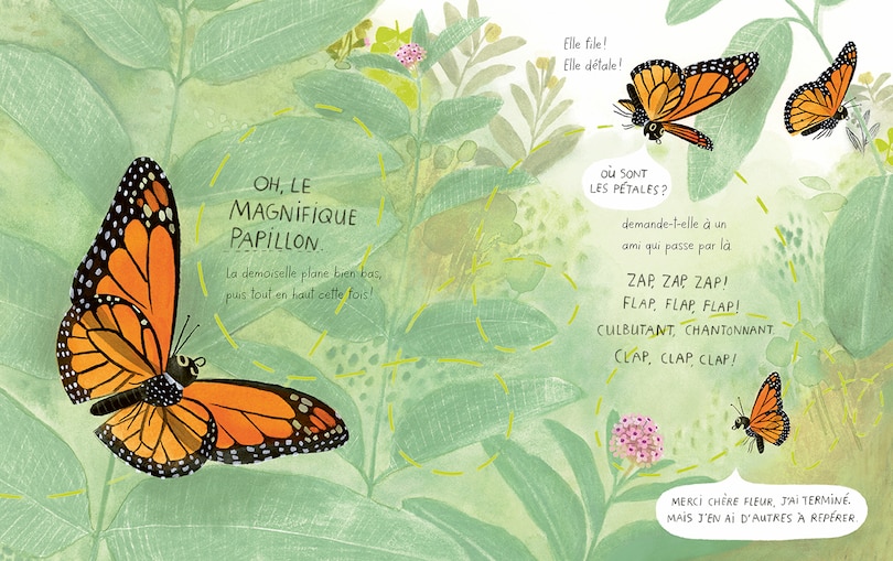 Aper&ccedil;u du contenu 3_Le papillon monarque