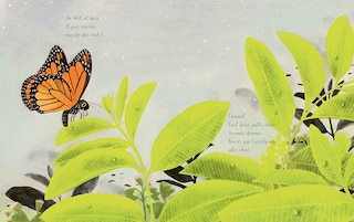 Aper&ccedil;u du contenu 4_Le papillon monarque