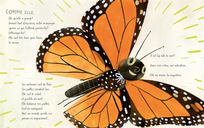 Aper&ccedil;u du contenu 5_Le papillon monarque