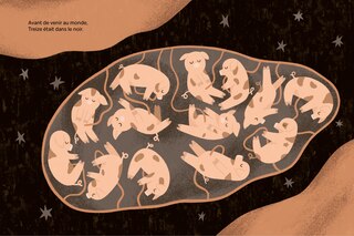 Aper&ccedil;u du contenu_Le treizi&egrave;me cochonnet