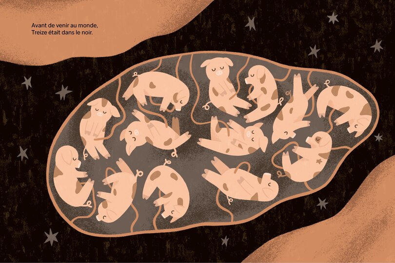 Aper&ccedil;u du contenu_Le treizi&egrave;me cochonnet