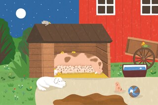 Sample content_Le treizième cochonnet