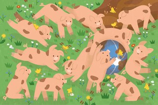 Sample content 4_Le treizième cochonnet