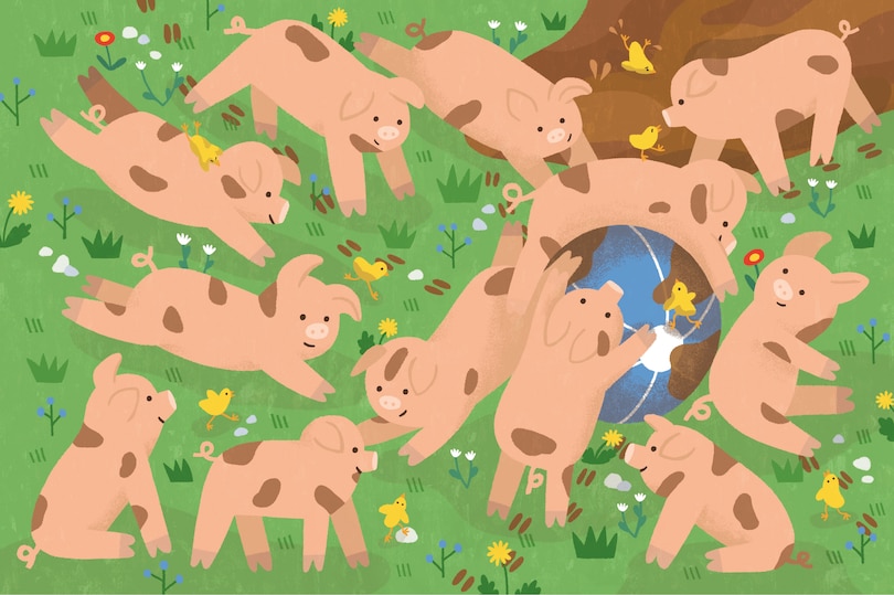 Sample content 4_Le treizième cochonnet