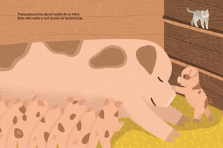 Sample content 5_Le treizième cochonnet