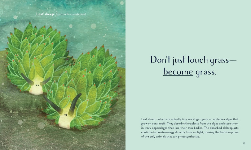 Aper&ccedil;u du contenu 5_Leaving the Ocean Was a Mistake