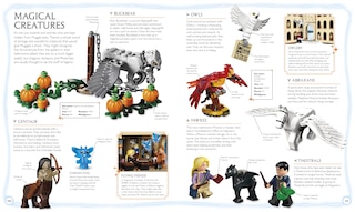 Sample content 2_LEGO Harry Potter Visual Dictionary (Library Edition)
