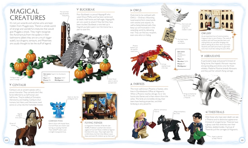 Sample content 2_LEGO Harry Potter Visual Dictionary (Library Edition)