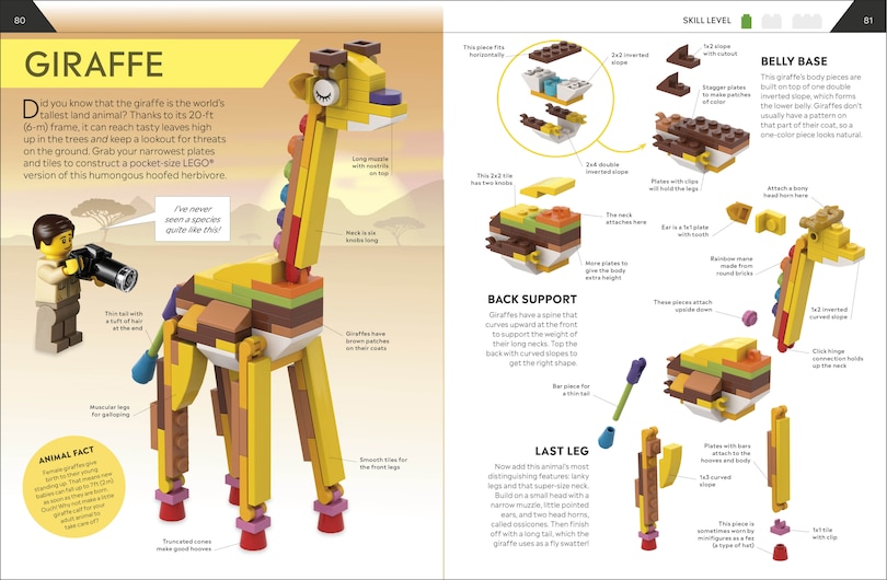 Aperçu du contenu 3_LEGO How to Build Everything!