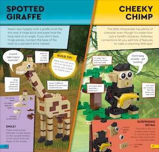 Sample content 3_Lego Pocket Builder Nature