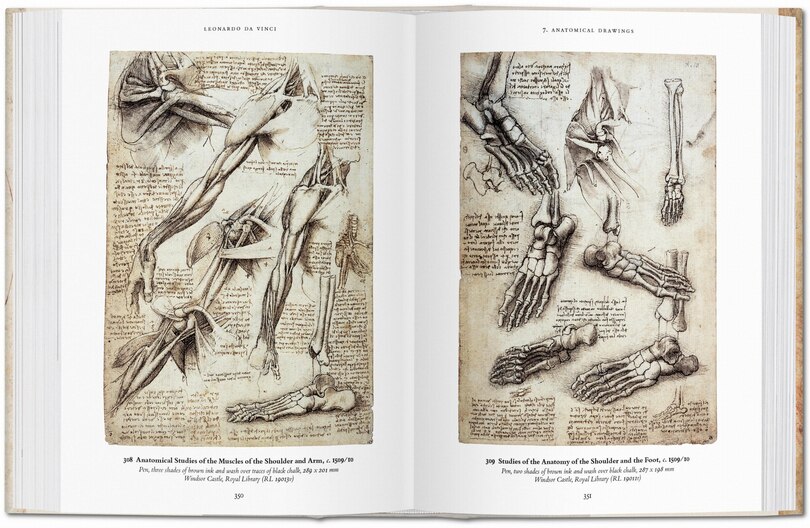 Sample content 3_Leonardo. The Complete Drawings