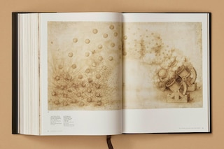 Sample content 2_Leonardo. The Complete Paintings and Drawings