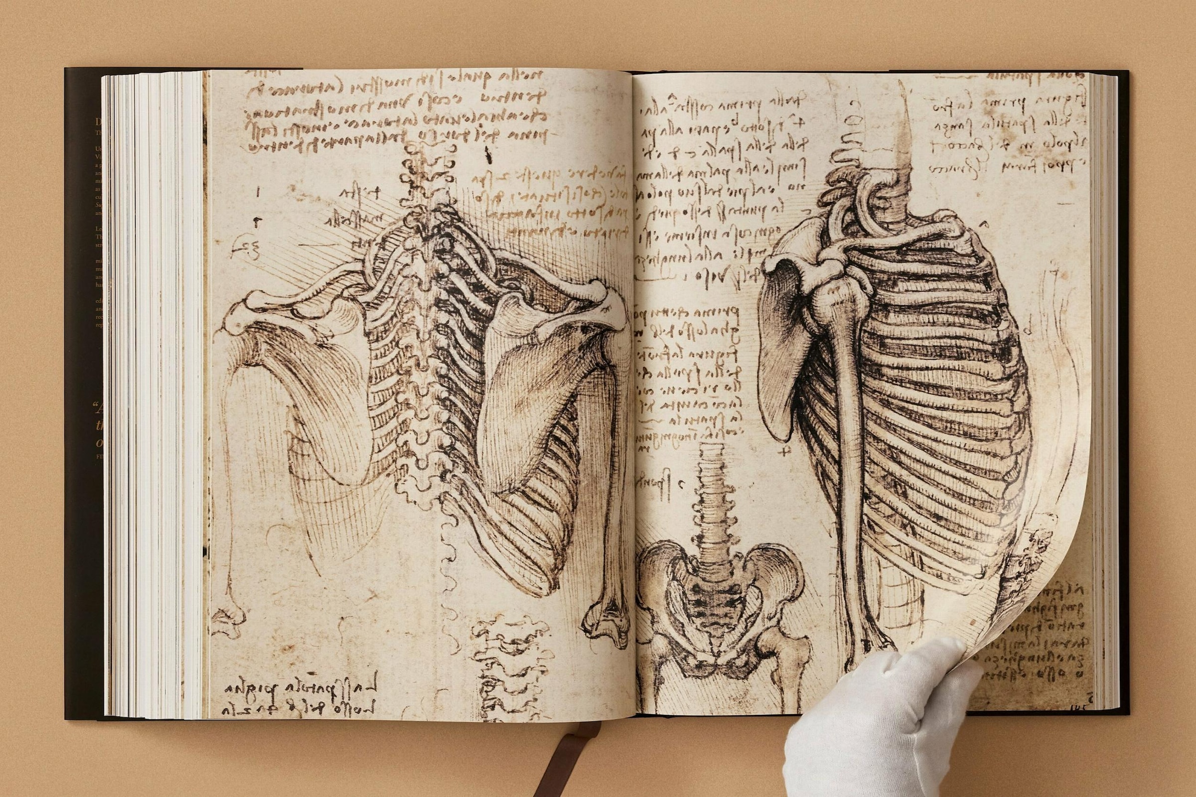 Leonardo. The Complete Paintings And Drawings Book By Frank