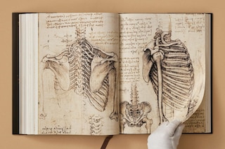 Sample content 4_Leonardo. The Complete Paintings and Drawings
