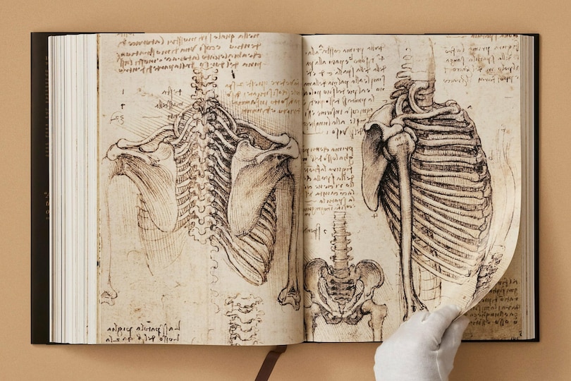 Sample content 4_Leonardo. The Complete Paintings and Drawings