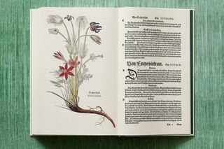 Sample content 5_Leonhart Fuchs. Le Nouvel Herbier