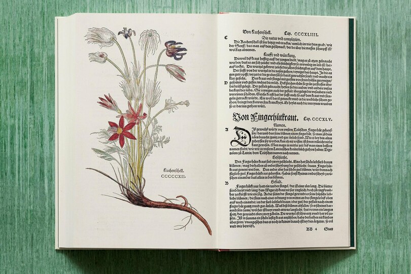 Sample content 5_Leonhart Fuchs. Le Nouvel Herbier