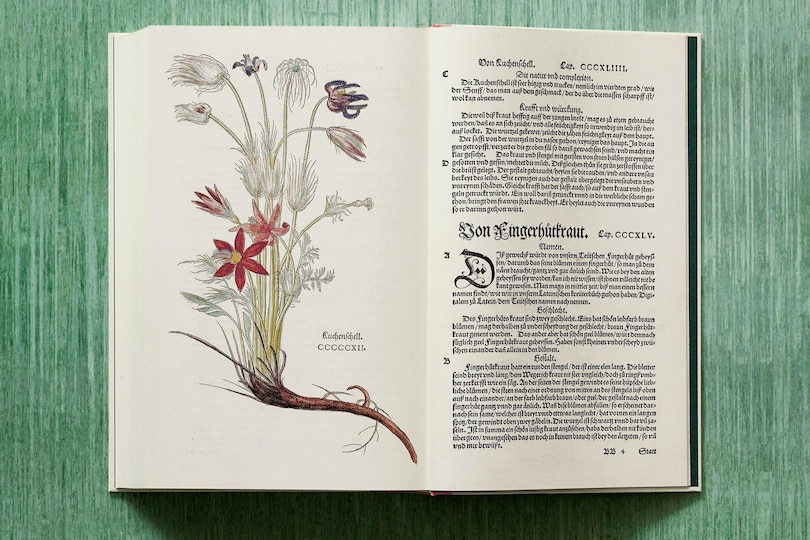 Sample content 5_Leonhart Fuchs. The New Herbal